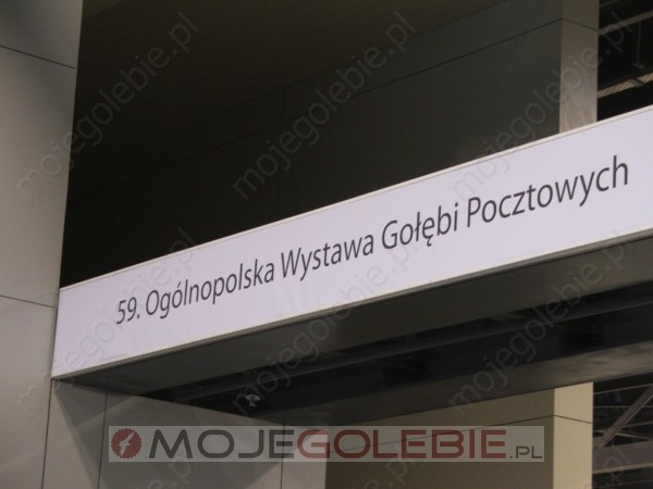 wystawa-golebi-expo-sosnowiec-2009-golebie-pocztowe- reprezentacja-001